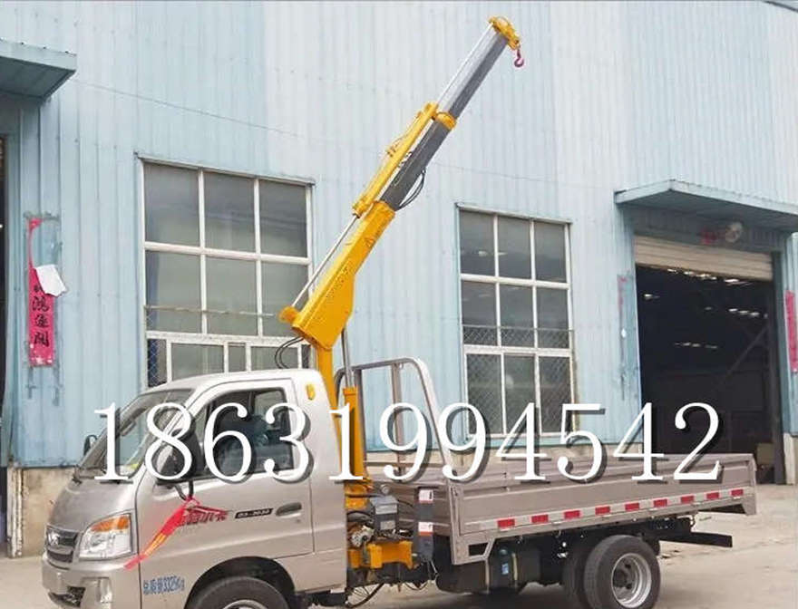 朔城区车载吊机小型蜘蛛吊车载吊机220v移动吊机朔城区当地提升机小型蜘蛛吊改装
